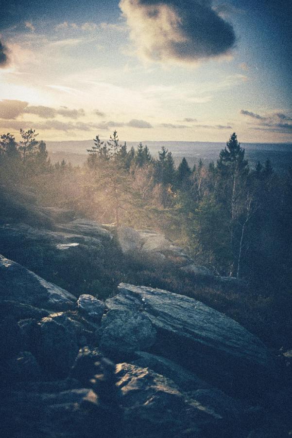 Blickinsfreie - Cabin Schöneck Eksteriør bilde