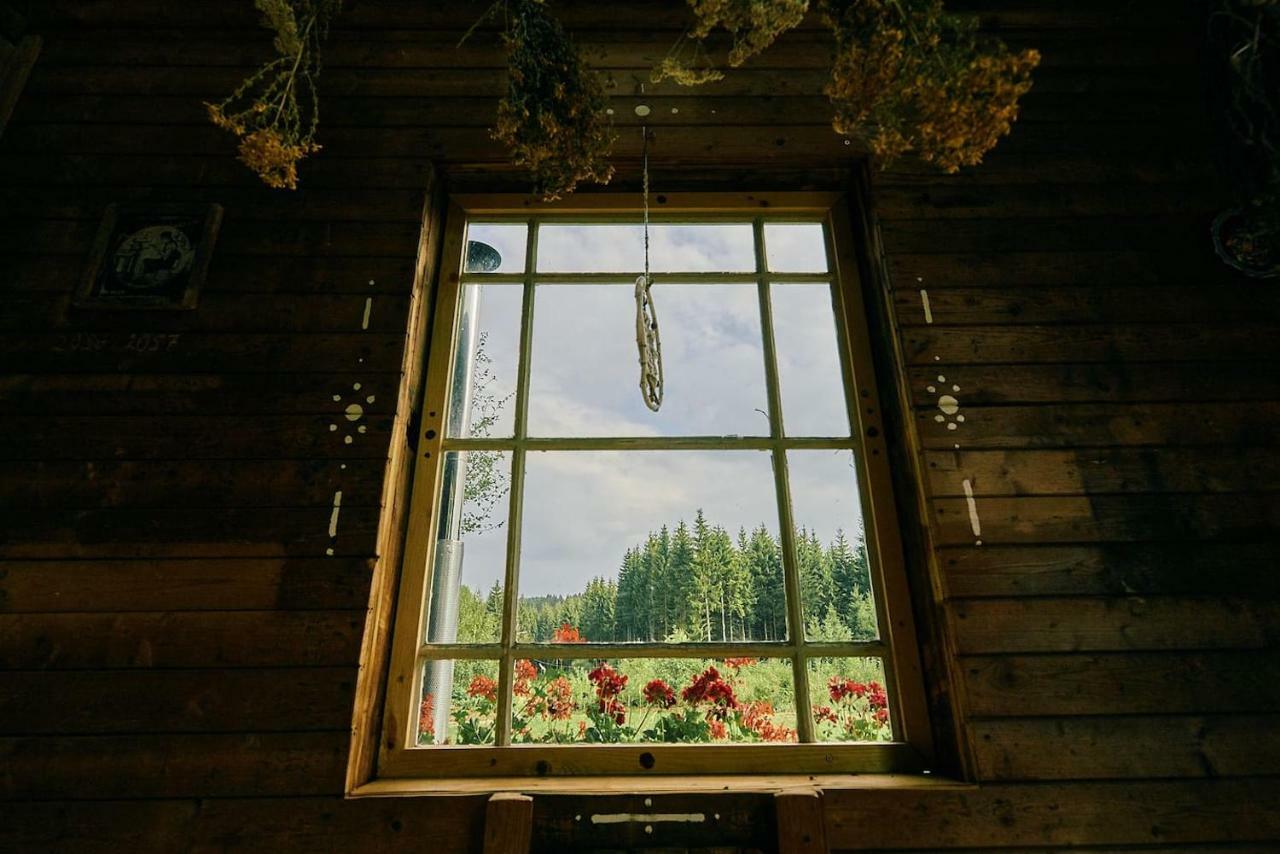 Blickinsfreie - Cabin Schöneck Eksteriør bilde